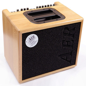 AER 어쿠스틱앰프 Compact 60 Solid wood뮤직메카